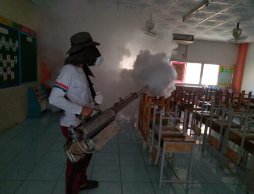 โรงเรียนเอกอโยธยา เตรียมการก่อนเปิดเทอมภาคเรียนที่ 1 ประจำปีการศึกษา 2567 “หยุด!!ยับยั้ง ป้องกัน กำจัดยุงลาย “
